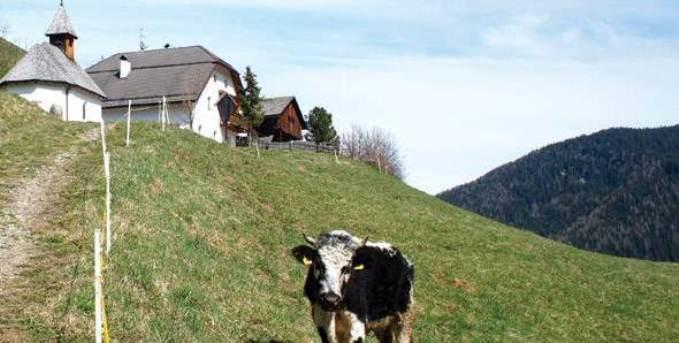 Berggasthof Trattes Olang Exterior foto